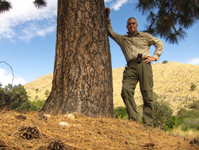 Tom in the Guadalupe Mountains next to big tree